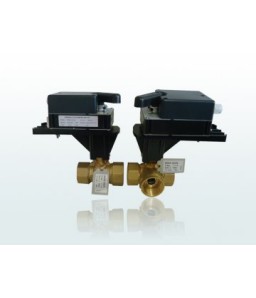 VALVULA ESFERA ACTUA 2 VIAS 1 POL ROSCA BSP (DN25)35FV325 